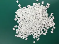 微孔聚合物载体及先进液态助剂母粒