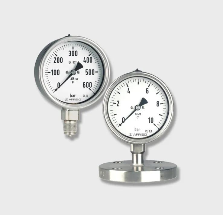 Electronic pressure measuring instruments - AFRISO - AFRISO